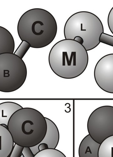 Bi-Cycle